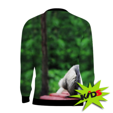 Детский 3D свитшот Husky on the bench 2