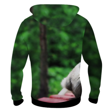 Чоловіча 3D худі Husky on the bench 2