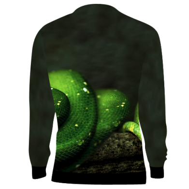 3D свитшот Green snake macro 2