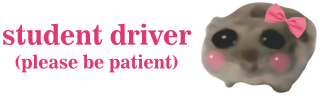 Принт Чохол для iPhone SE 2022 Student driver, Фото № 2 - FATLINE
