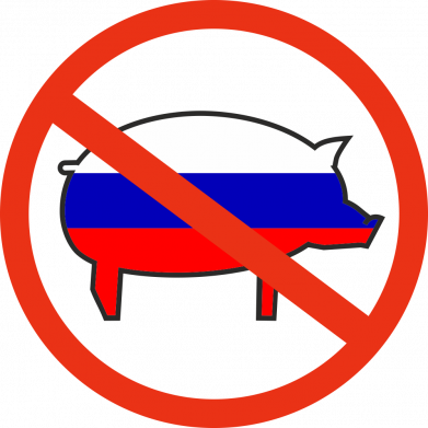 Чоловіча футболка Stedman Stop Russian 2