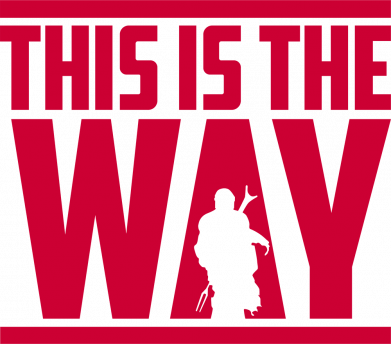 Принт Чоловіча стрейчева футболка Mandalorian This Is The Way, Фото № 2 - FATLINE