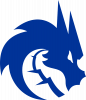 Team Spirit Logo