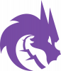 Team Spirit Logo