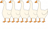 Don't push the gooses!
