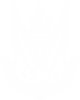Call of Duty eagle