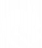Team Spirit Logo