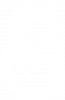 Рік Дракона 2024