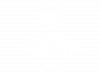 Stray logo