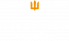 Вооруженные Силы Украины (ВСУ)