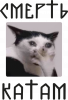 Смерть КАТАМ