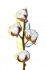 Bavovna