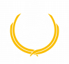 Super Earth Flag