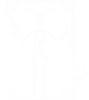 FOG Forward Skeleton