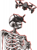 FPV Skeleton