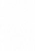 Принт
