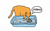 Життя Адміна
