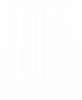 Free Azov Print