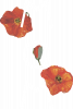 Моей Любимой Маме