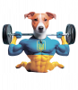 Пес Патрон Тренируйся!
