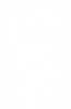 Принт