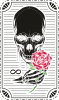 Череп и роза
