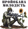 Прой*бана молодість