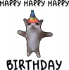 Happy Birthday Кіт