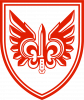 Нарукавний знак 132-го ОРБ України