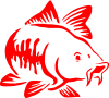 Catfish
