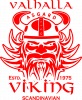 Valhalla viking