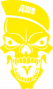 ДШВ Skull