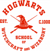 Hogwarts Witchcraft and Wizardry