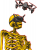FPV Skeleton