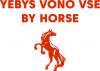 Yebys vono vse by horse