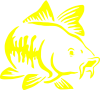 Catfish