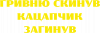 ГРИВНЮ СКИНУВ КАЦАПЧИК ЗАГИНУВ