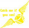 Catch me if you can!