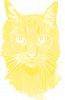 Магічний Кіт