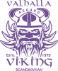 Valhalla viking