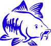 Catfish