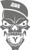 ДШВ Skull