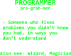 Programmer