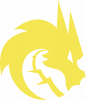 Team Spirit Logo