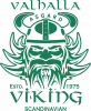 Valhalla viking