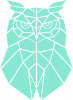 Geometric Owl