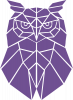 Geometric Owl