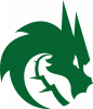 Team Spirit Logo