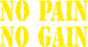 No pain no gain logo