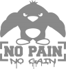 No pain no gain пингвин